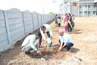 Tree Plantation2017